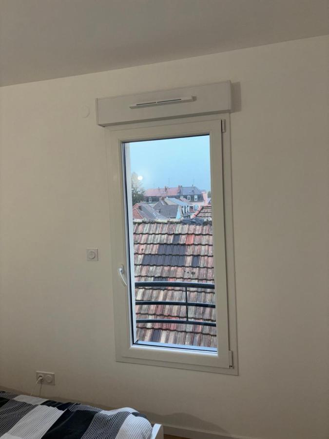 Duplex 6 Pers Neuf + Parking Appartamento Mulhouse Esterno foto
